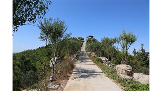 標(biāo)題：張家口太子山山體修復(fù)
瀏覽次數(shù)：19090
發(fā)表時(shí)間：2020-11-12